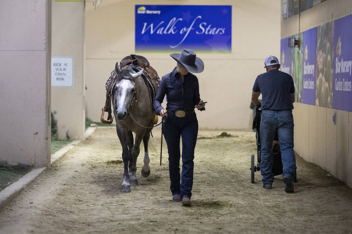 Taming the West: Wild horses flaunt poise at BLM Las Vegas competition