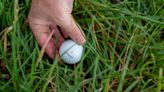 Doh! Picked Up Your Ball By Accident? Here's What You Need To Do