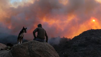 Todo incendio es político