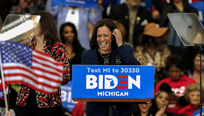 Kamala Harris: quién es y cómo piensa la posible sucesora de Biden