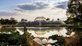 Kew tour gives window into Palm House plants' past