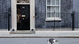 Ukrainian ambassador plays with Larry the cat outside 10 Downing Street