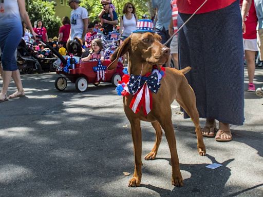 Do fireworks freak out your pets? Sacramento experts have advice to ease their anxiety