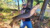 Why this huge northern pike will not set a Minnesota fishing record