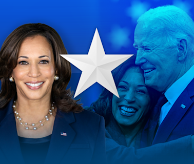 Adam Boulton: Unlike Veep, Harris's campaign for the White House is serious and like no other