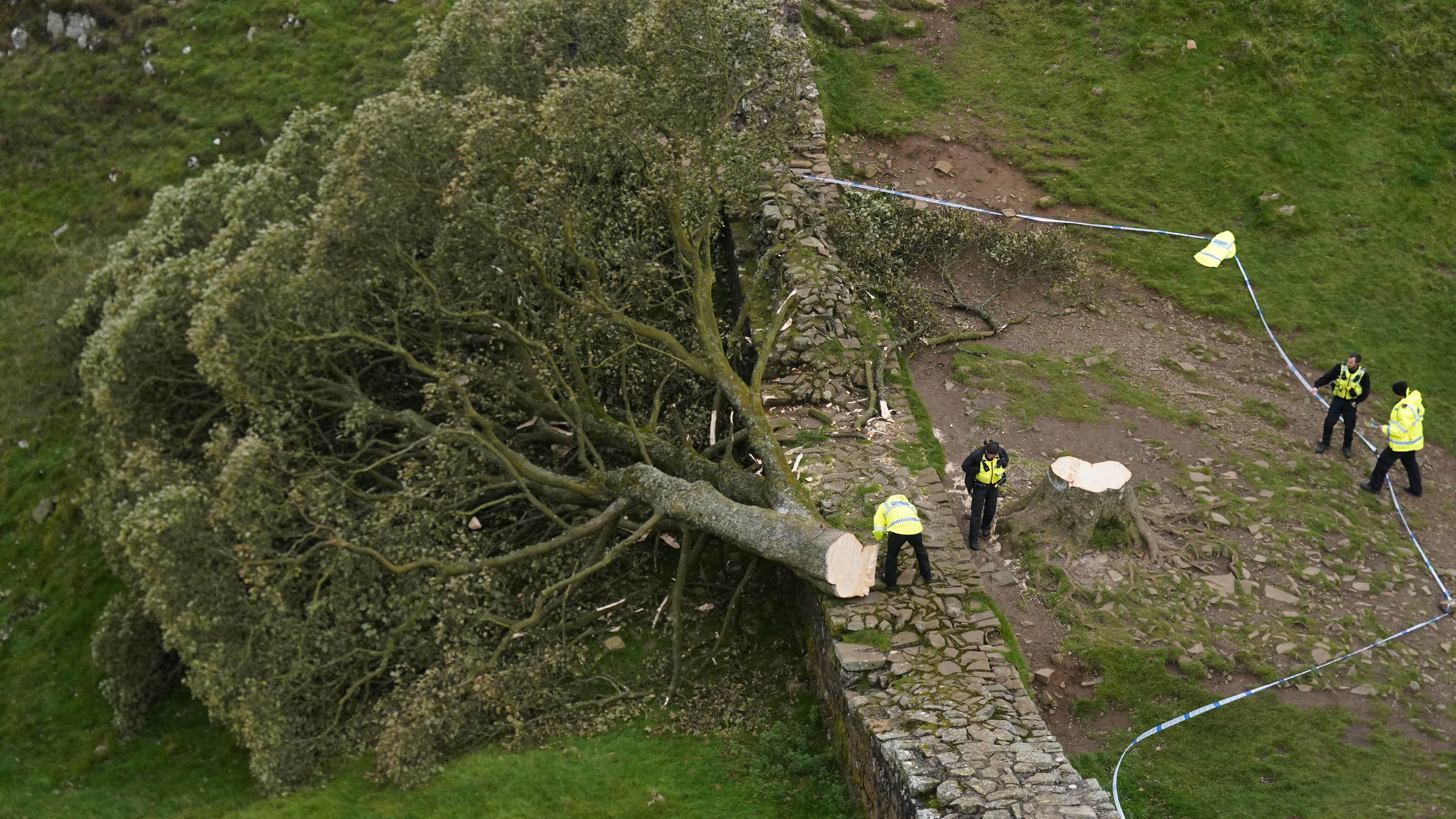 Two men in court over Sycamore Gap tree felling