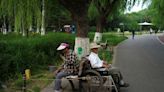 China to allow delayed retirement to combat population woes