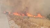 Albania pide ayuda a la UE para combatir los incendios forestales desde el aire
