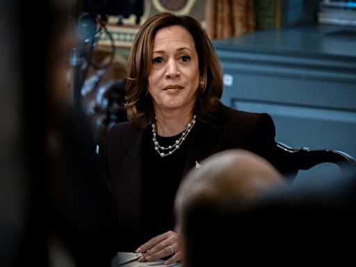 Los finalistas para acompañar a Kamala Harris en la fórmula presidencial