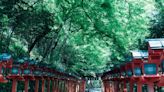 京都夏季觀光避暑勝地10選！滿山綠意、清涼風鈴聲讓你暑意全消