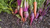 Here's How to Plant a Late-Season Vegetable Garden for the Fall