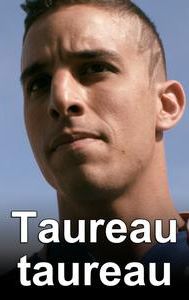 Taureau taureau