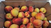 When and where to find The Peach Truck in Cincinnati this summer