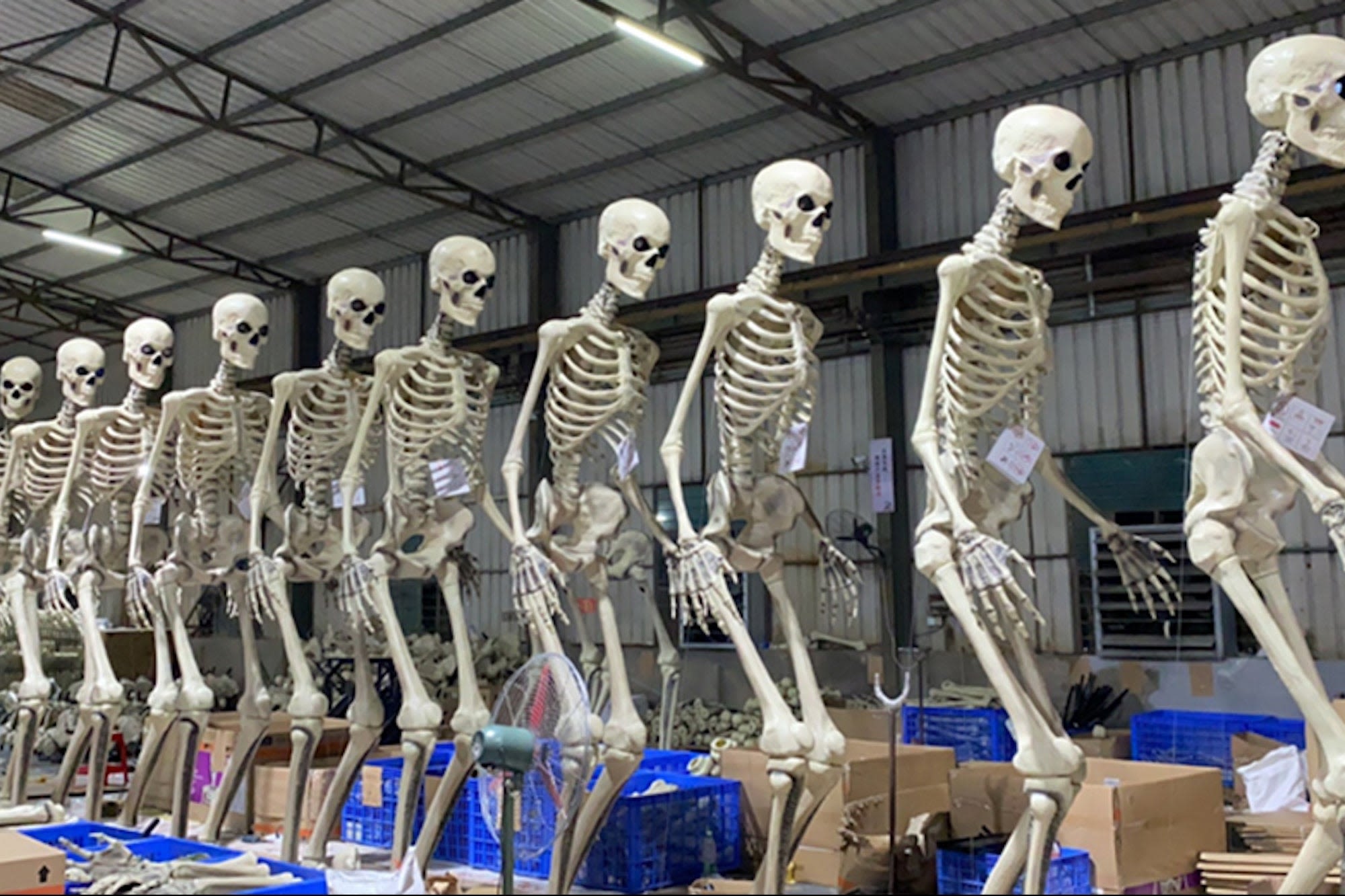 Home Depot's Gigantic Skelton 'Skelly' Is Already Sold Out | Entrepreneur