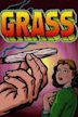 Grass (1999 film)