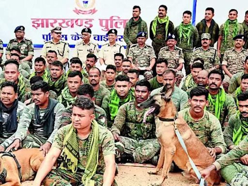 East Singhbhum police launch search operation against Maoists | Ranchi News - Times of India