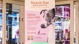 Aperitivos hipoalergénicos para perros: así es el primer servicio de 'snack bar' para mascotas de España