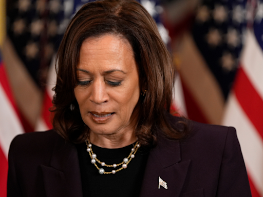 Kamala Harris Planted Trees For Israel As A Child, Recalls Fond Memory After Netanyahu Meeting