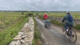 A cyclist finds his special spot in vineyard-rich Burgundy by taking a different path