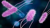 11 sickened, 2 hospitalized in Washington due to nationwide salmonella outbreak