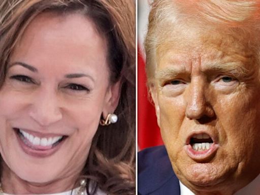 Kamala Harris' Campaign Strikes Rawest Of Nerves For Donald Trump In Mocking New Ad