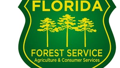 Mandatory burn ban in effect for Indian River County