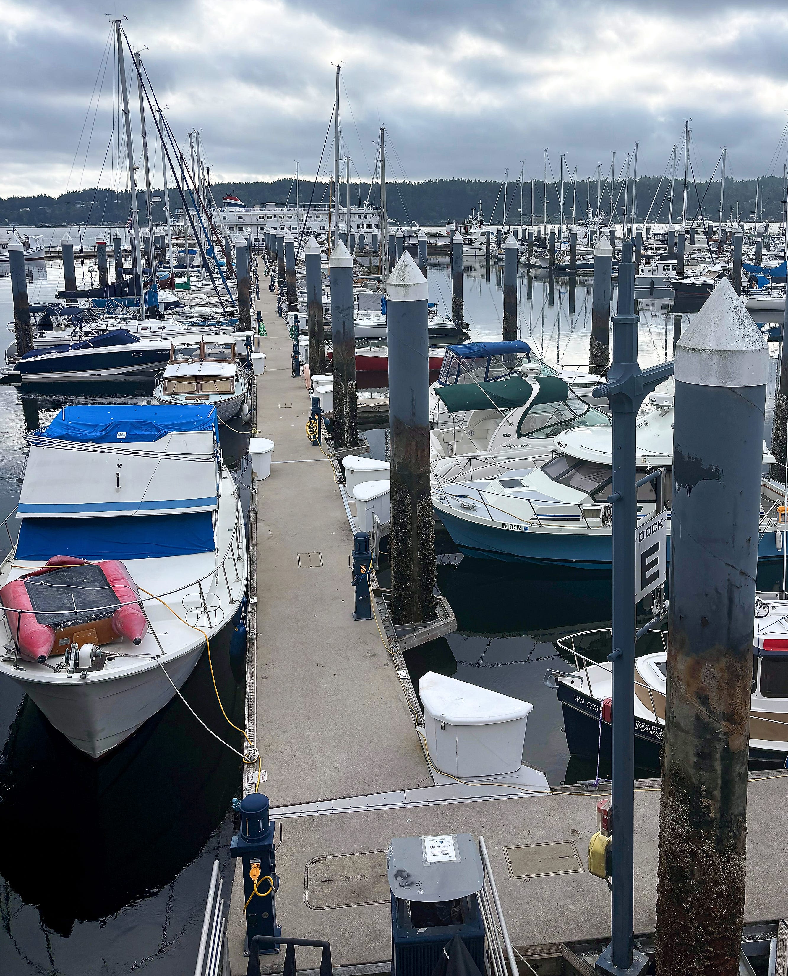 River otter attacks child at Washington marina, issue with infestation was known