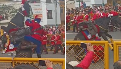 Accidente en Parada Militar 2024: caballo se desespera y cae junto a jinete durante desfile