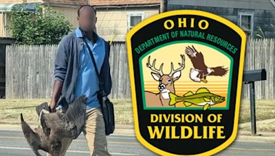 Ohio Wildlife Officials Give Context for Photo of Man Holding 2 Geese