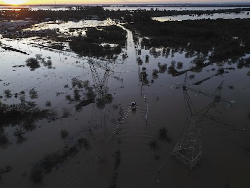 Pérdidas en la ganadería brasileña por las inundaciones superan los 41 millones de dólares