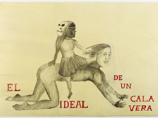 One Fine Show: Works by Sandra Vásquez de la Horra at Denver Art Museum