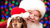 Your Dog Can Get a Free Photo with Santa at PetSmart This Holiday Season