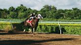 From Pioneers to Legends: The Evolution of Horse Racing in Washington