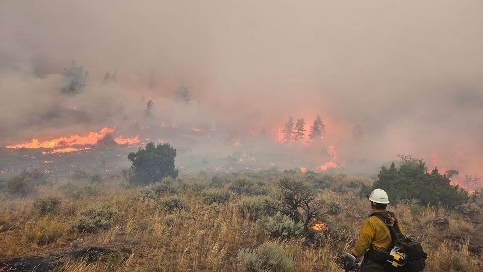 East entrance of Yellowstone National Park reopens after wildfire prompts closure Monday