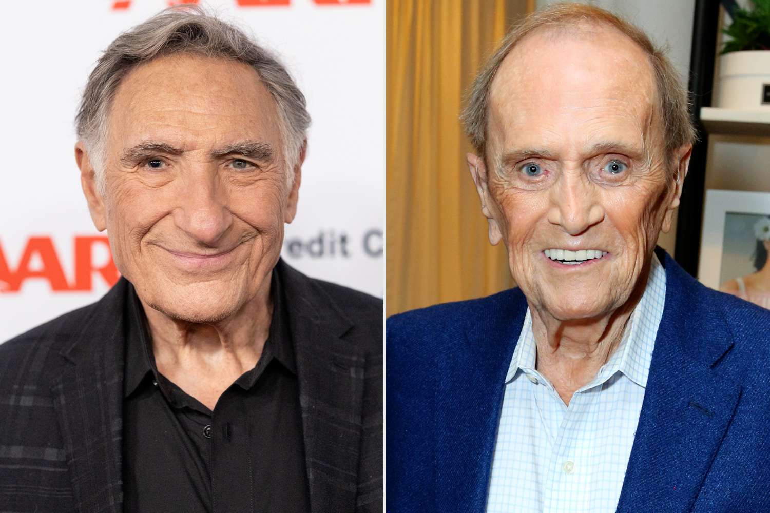 Judd Hirsch Recalls Bob Newhart's 'Act of Absolute Kindness' Towards Him on 'George & Leo' (Exclusive)