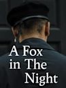 A Fox in the Night