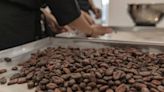 Precios del cacao ‘en picada’: ¿Cómo impactarán a los costos del chocolate?