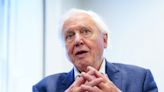 Sir David Attenborough reveals his one regret during 69-year TV career