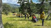 Madera County Sheriff’s Office Search and Rescue Teams Help in Rescue of Injured Hiker at Horseshoe Bend