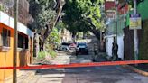 Fiscalía decomisa leones, drogas y armas tras cateo en Cuernavaca