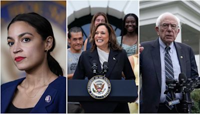 Kamala Harris, AOC, Bernie Sanders & More To Skip Netanyahu's Congress Address, Israel 'Disappointed'