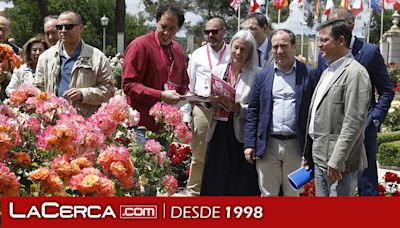 Una rosa francesa de la variedad floribunda, ganadora del 68º Concurso Internacional de Rosas Nuevas Villa de Madrid y del certamen popular