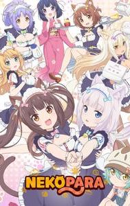 Nekopara