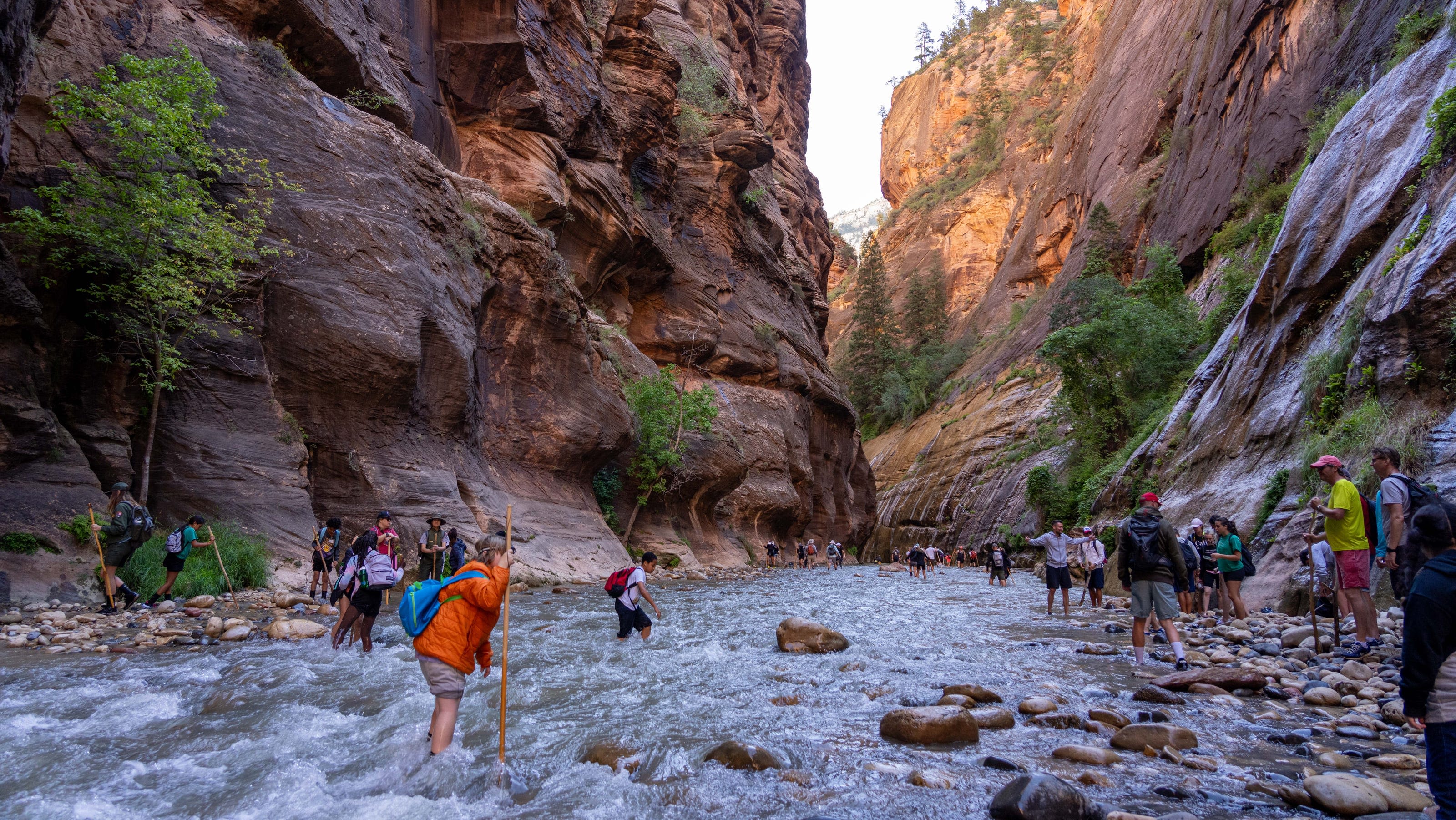 Why Zion National Park is so special and what to know before you go