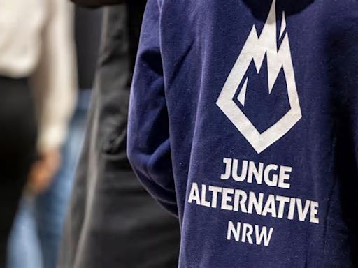 Junge Menschen wählen AfD – das ist leider nicht nur Protest (Meinung)