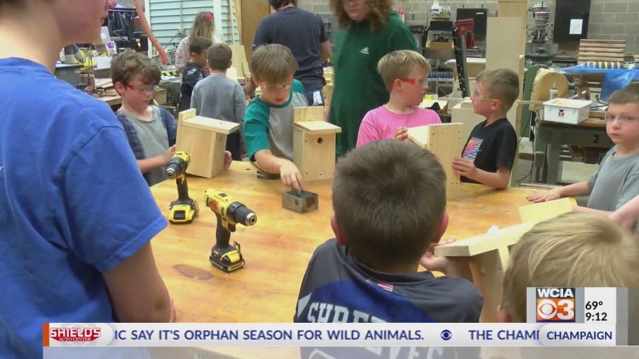 Farmer City high school, elementary students team up, build bird houses