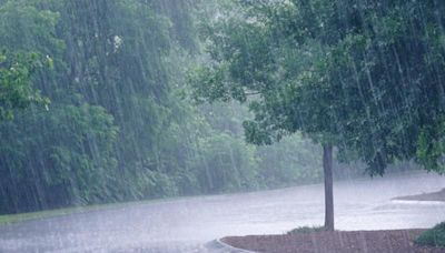 Kerala under Yellow Alert: Heavy rain and thunderstorms expected in 6 districts until October 11