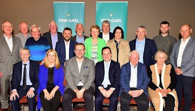 Two Wexford councillors have been chosen by Fine Gael to contest the general election