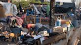 Phoenix accused business owner suing city over homeless camp of illegal mattresses dumping