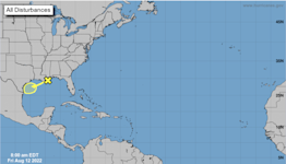 A disturbance is developing in the Gulf of Mexico. What the forecast shows